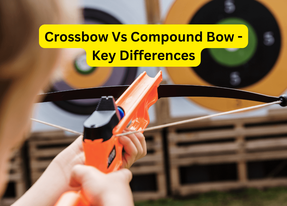 Crossbow Vs Compound Bow - Key Differences