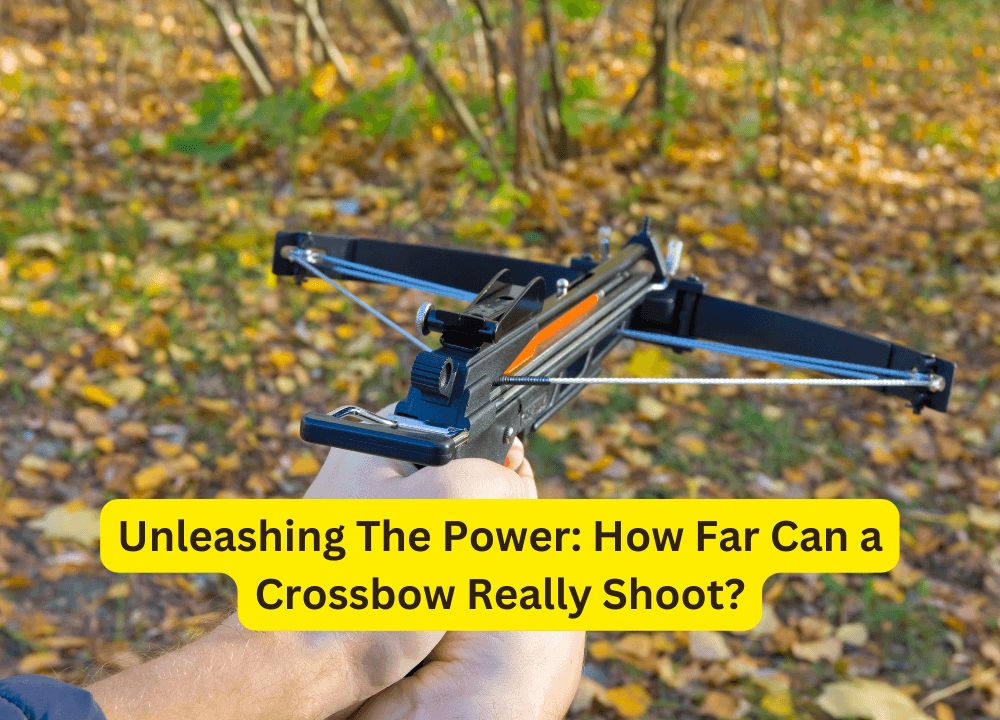 Unleashing The Power: How Far Can a Crossbow Really Shoot?
