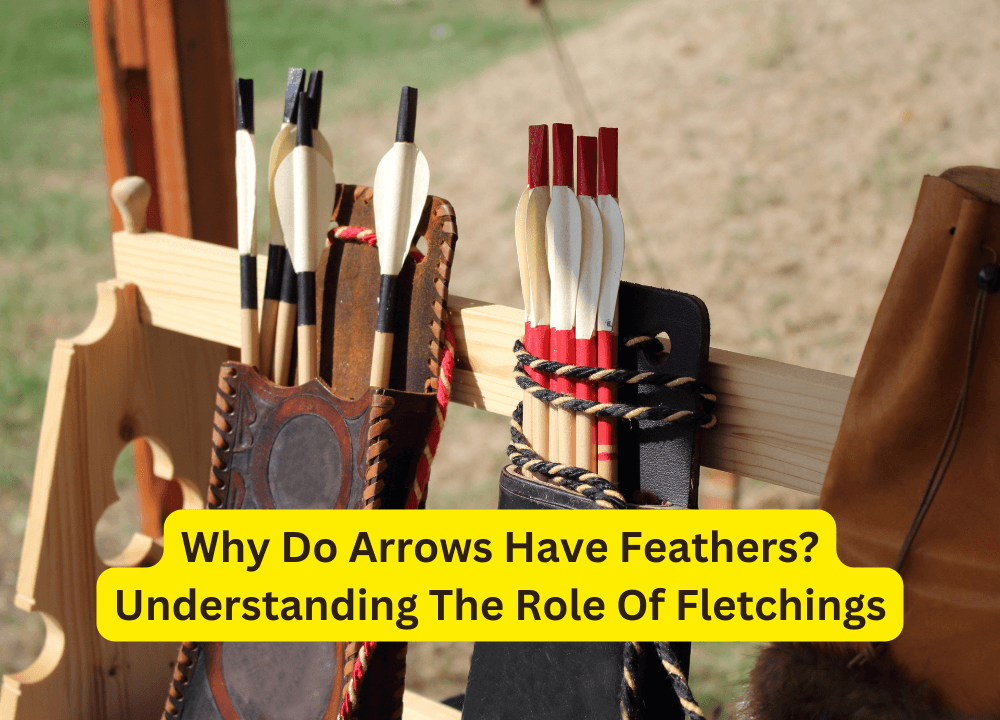 Why Do Arrows Have Feathers? Understanding The Role Of Fletchings