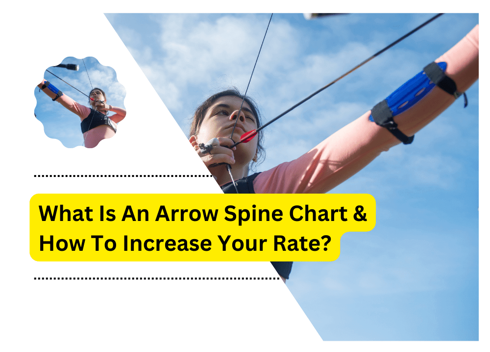 Arrow Spine Chart