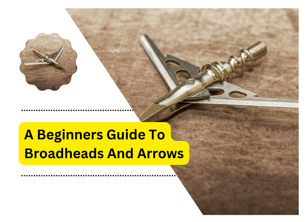 Beginners Guide To Broadheads