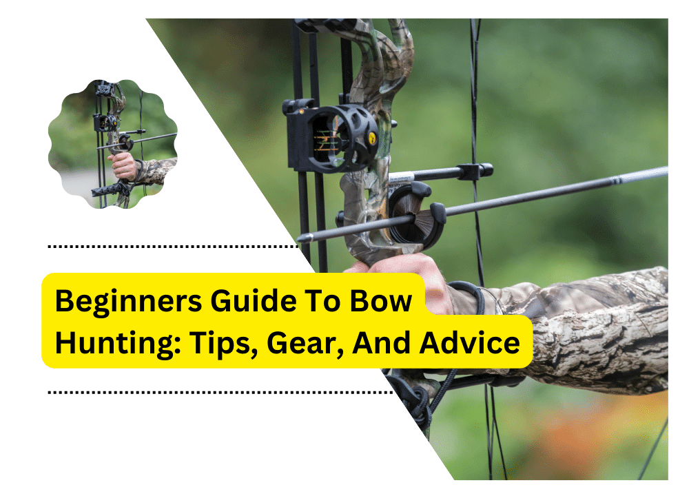Beginners Guide To Bow Hunting
