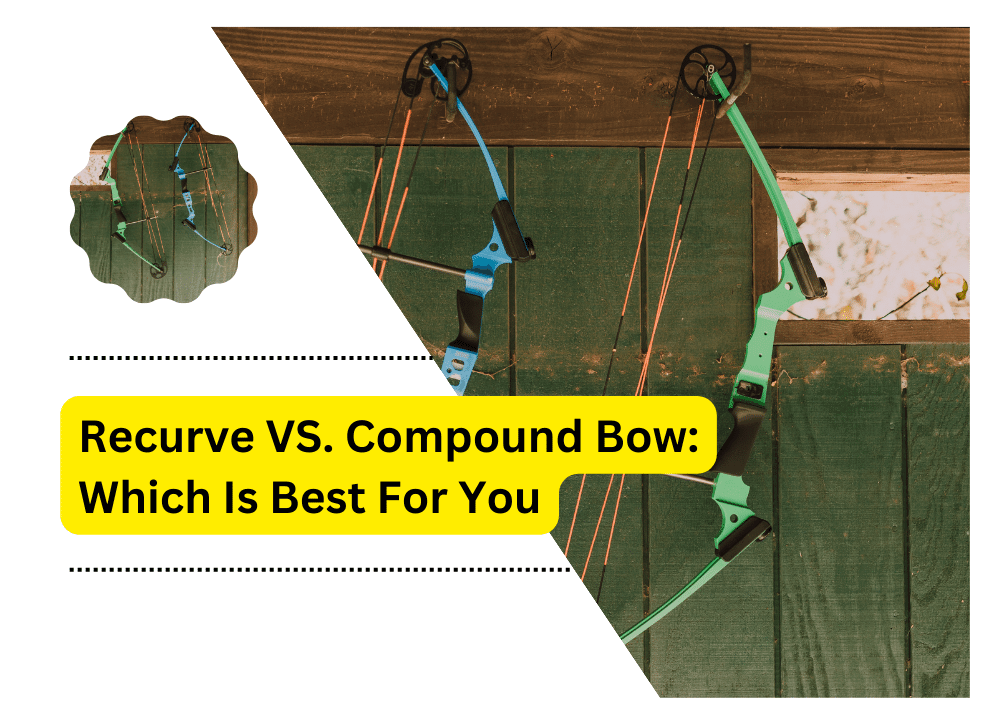 Recurve VS. Compound Bow
